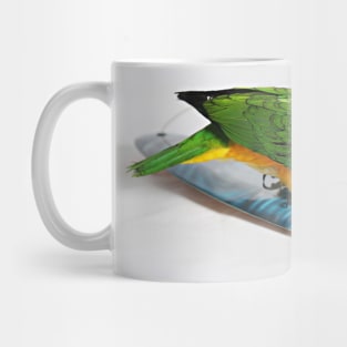 Surfer Birb Mug